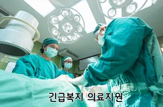긴급복지 의료지원