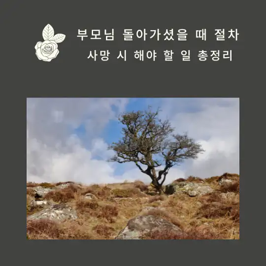 부모님 돌아가셨을 때 절차