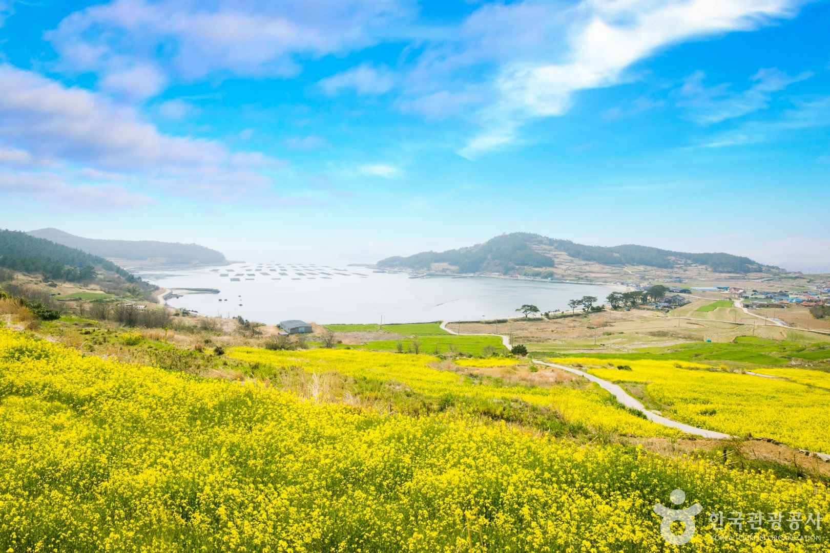 완도 청산도 여행