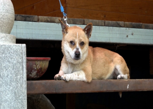 사노라면 구룡령 삼대모녀 식당