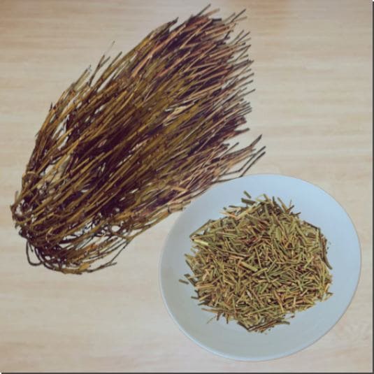 마황 효능, 다이어트 효과