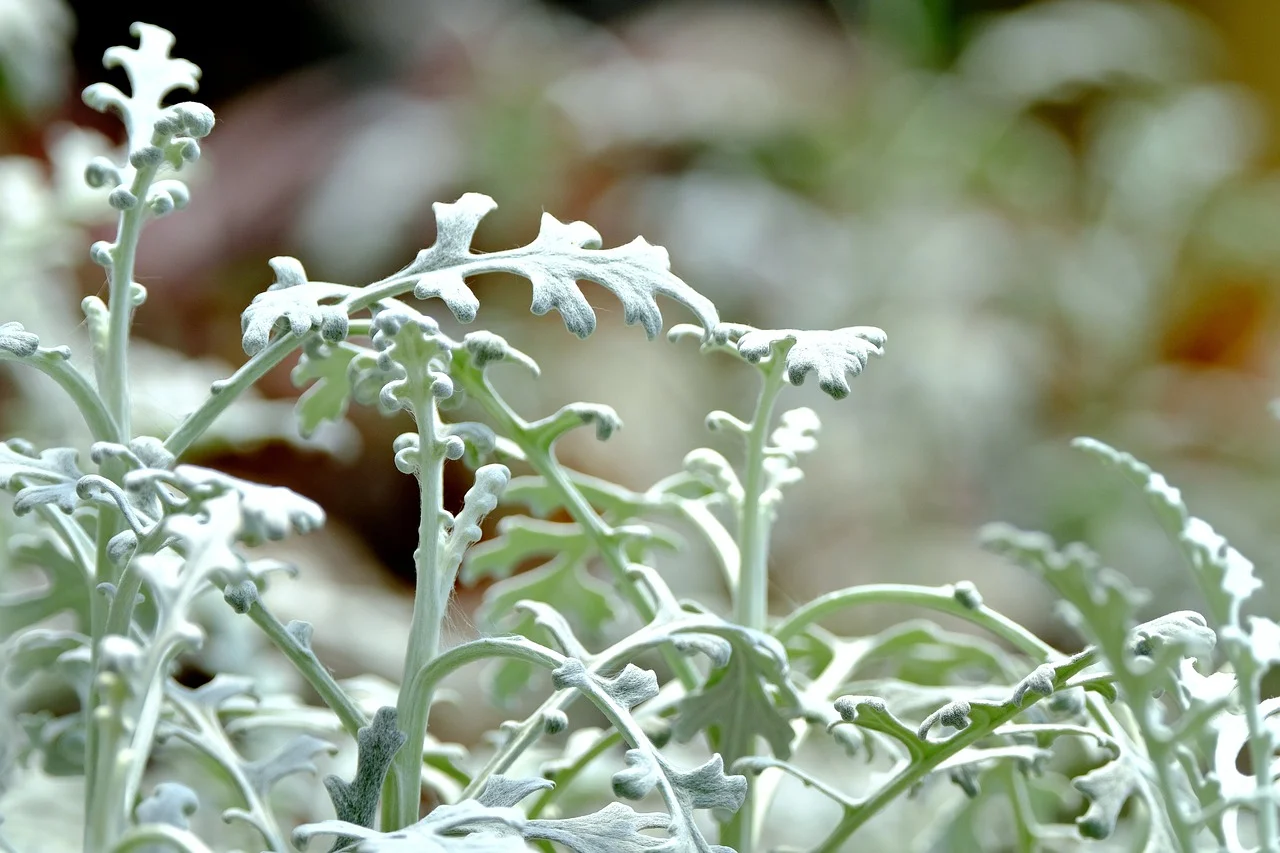 면역력 강화에 좋은 쑥과 도다리