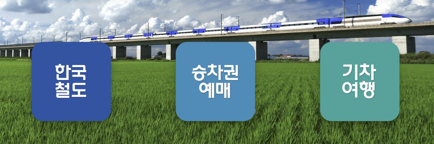 설날 기차표 지역별 예매 전략 한눈 정리