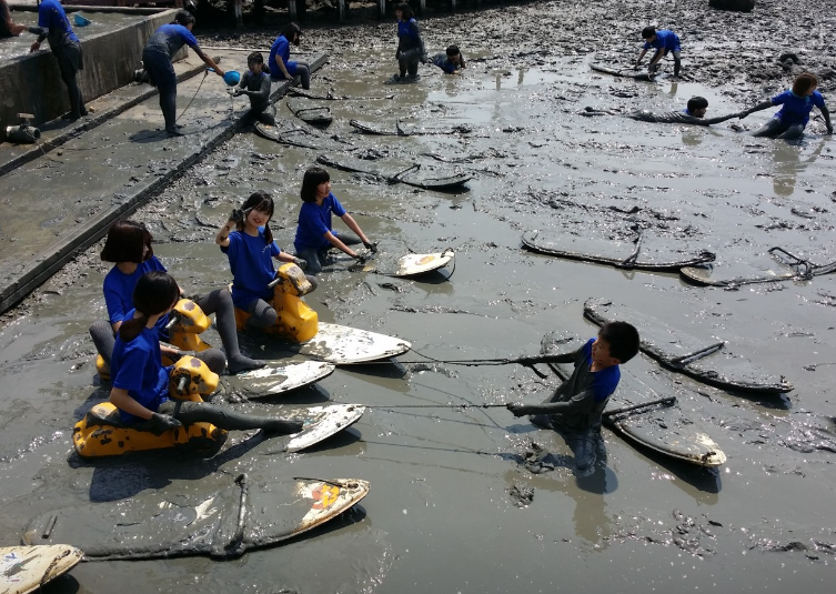 순천 뻘배체험장 정보 안내