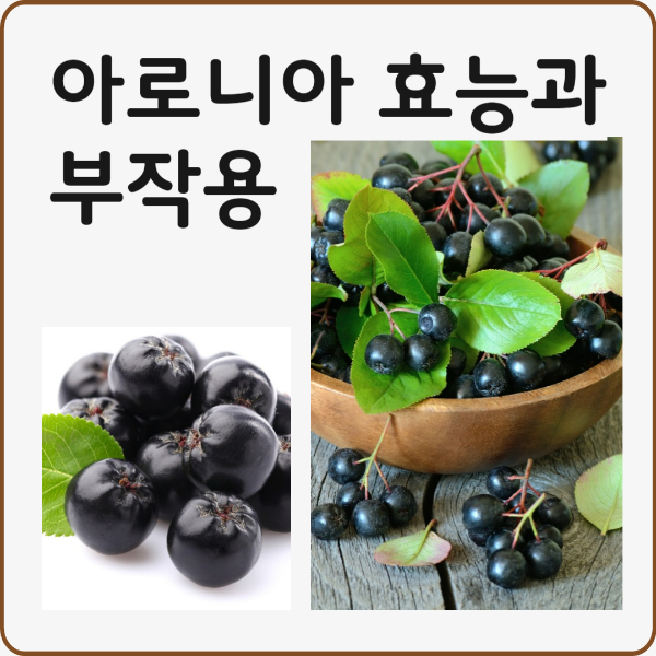 아로니아 효능과 부작용