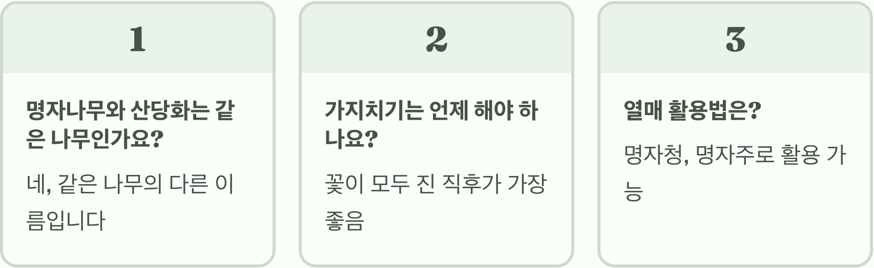 봄을 알리는 붉은 보석, 명자나무(산당화)의 모든 것