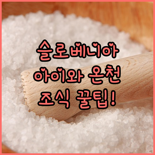 아이와 가기 좋은 슬로베니아 온천 여..