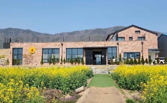보성 가볼만한곳 베스트 10