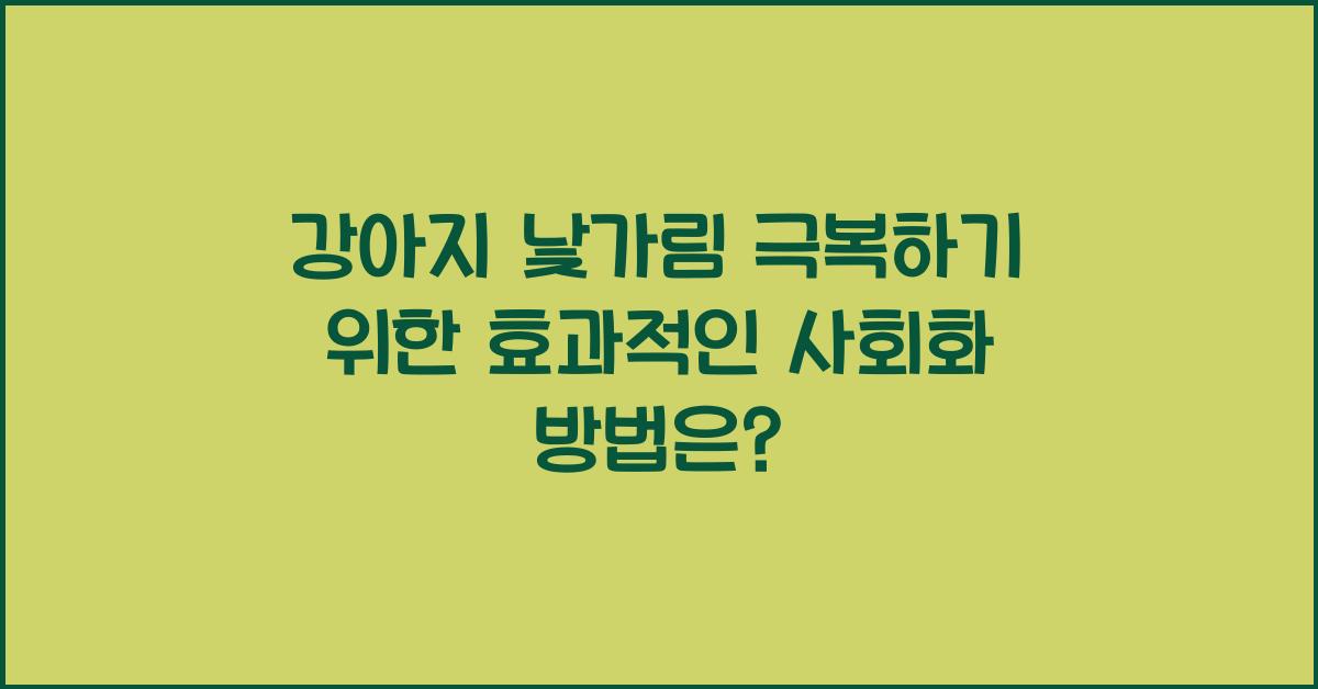 강아지 낯가림 극복