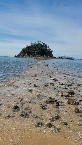 소야도 물때표 여행 낚시 해루질 배편_26