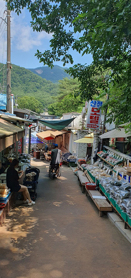 낭만닥터-김사부-돌담병원-촬영지-산정호수-둘레길