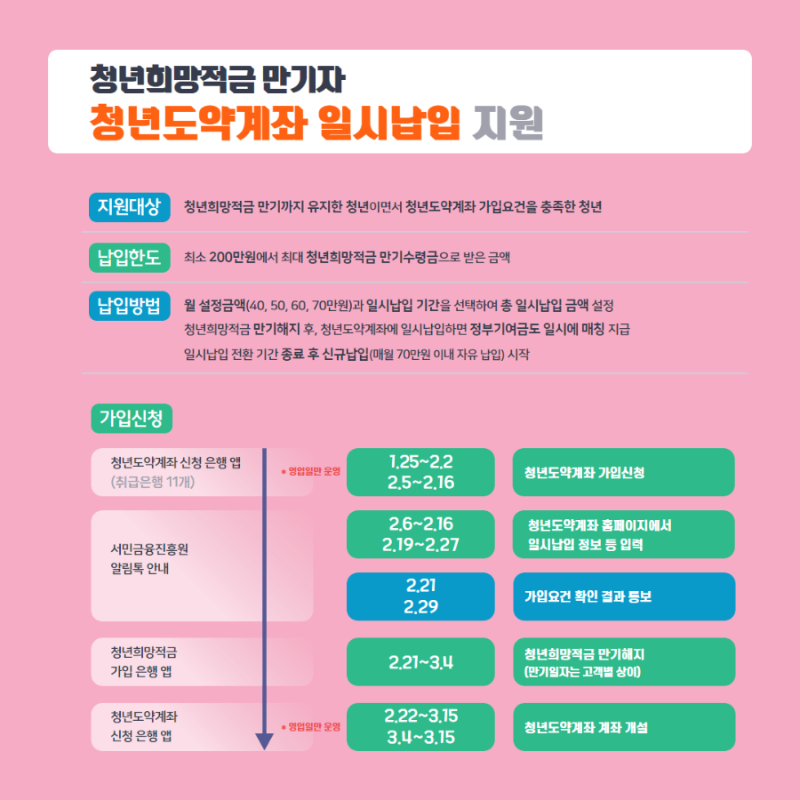 청년도약계좌 일시납입 지원