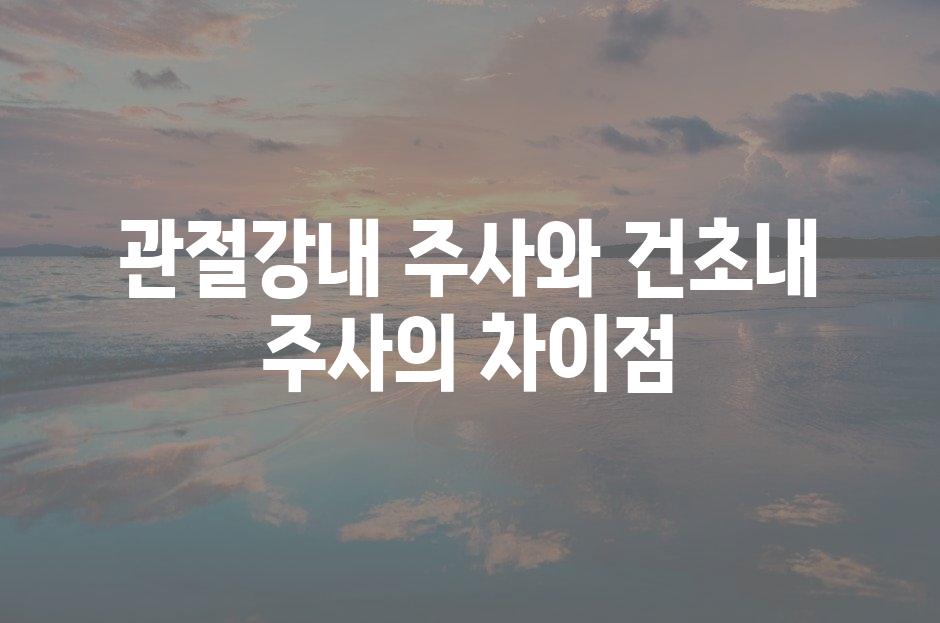 샘플 (81)
