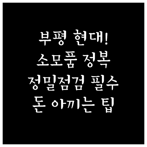 인천 부평구 현대자동차 소모품 교체 ..