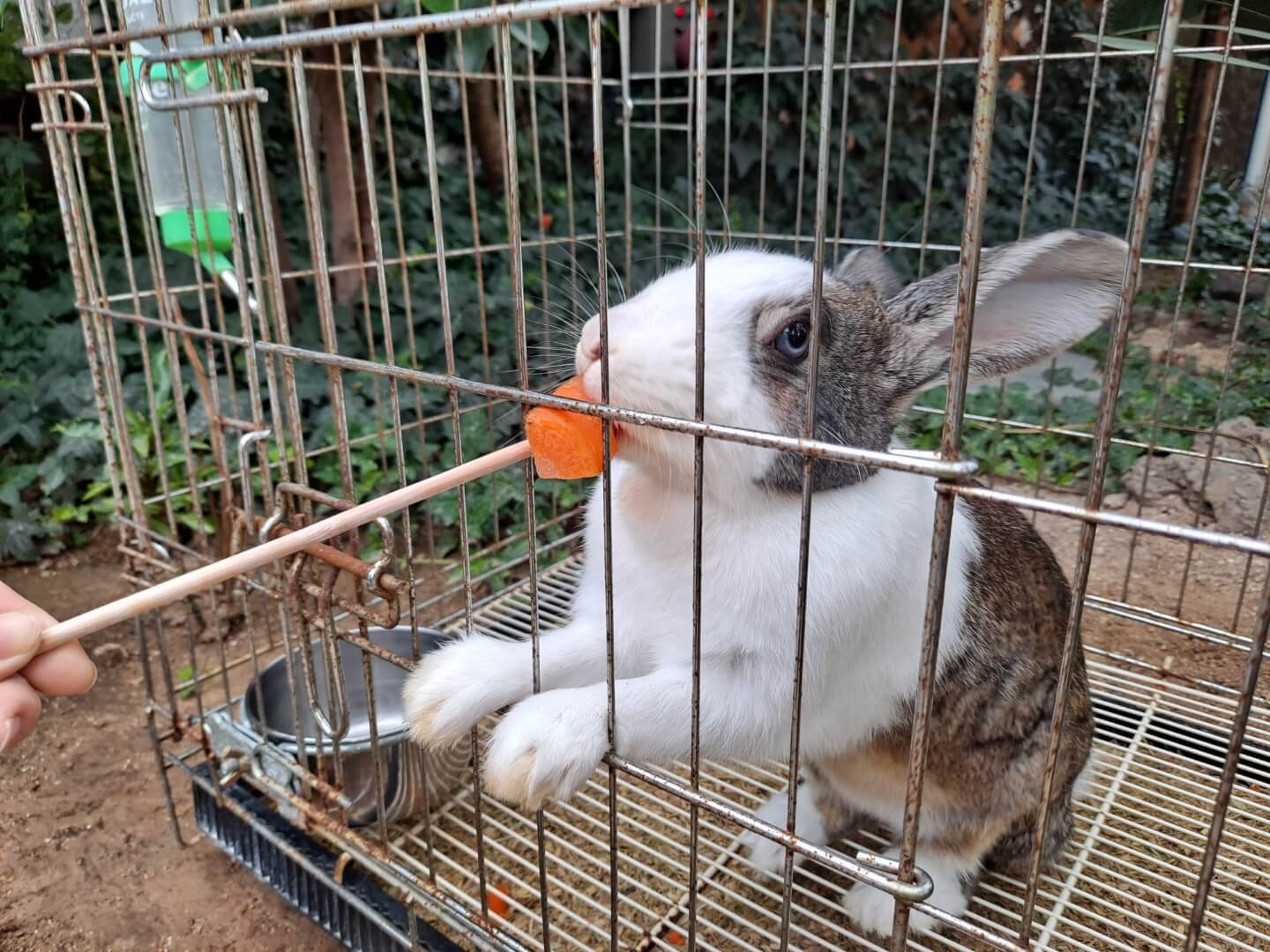 용인 가볼만한곳 곤충테마파크