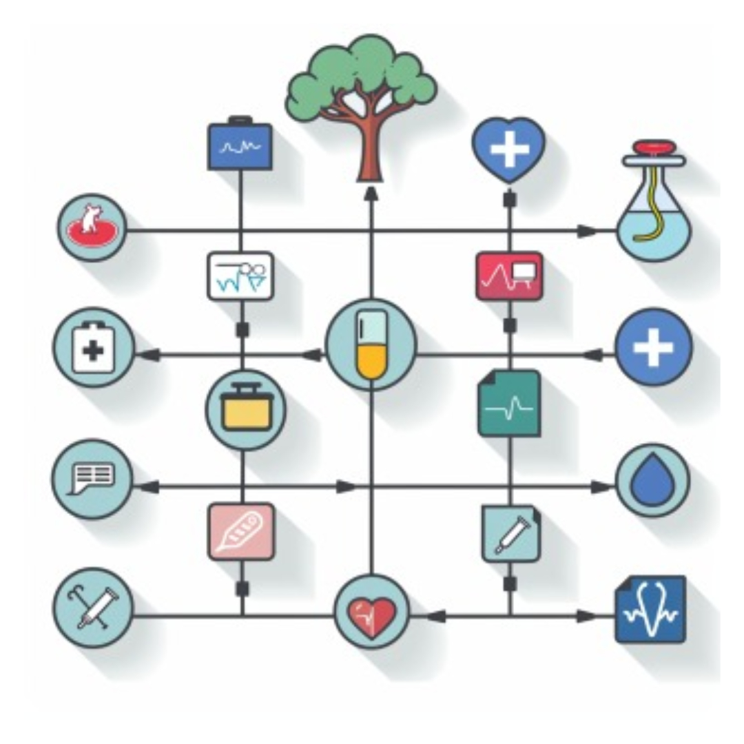 변비와 관련된 사진입니다.