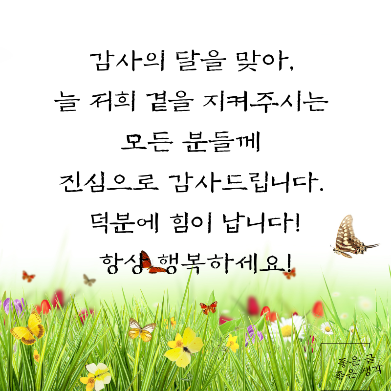 5월 인사말 문구 이미지 모음집 카톡 문자 메세지