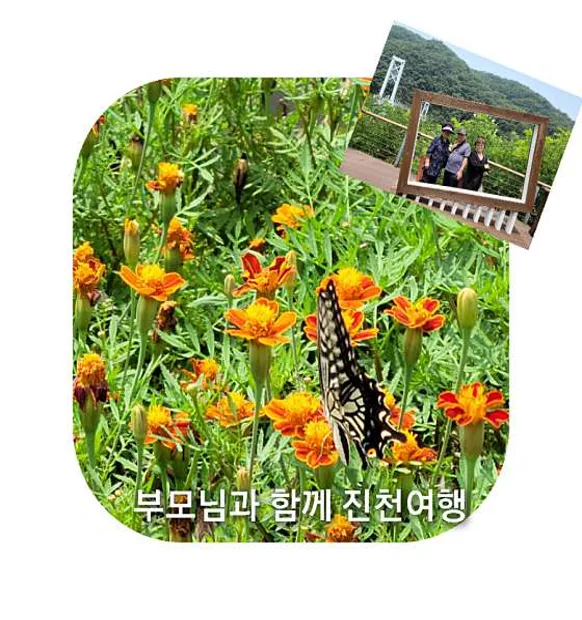 생거진천하늘다리