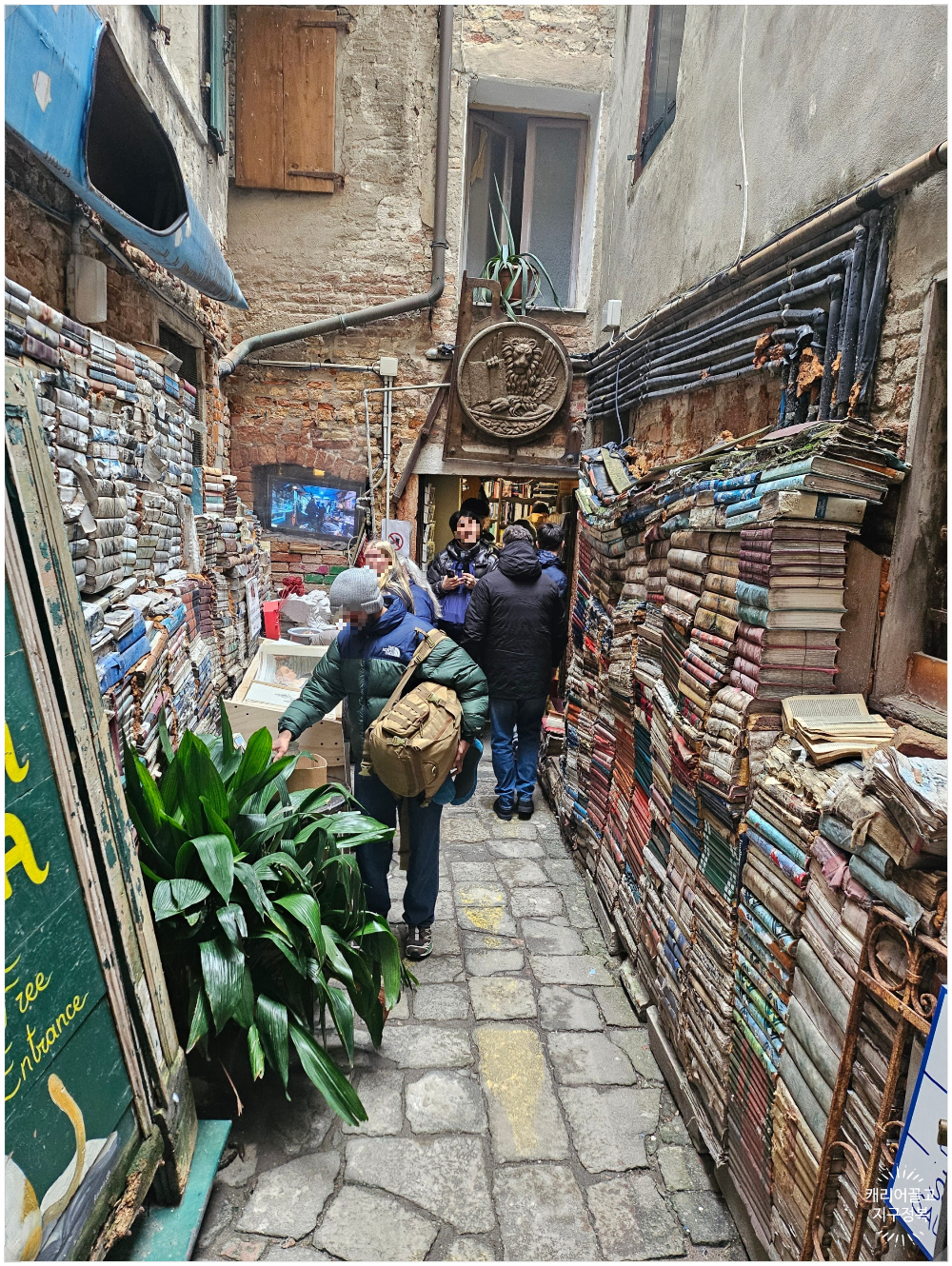 아쿠아 알타 서점