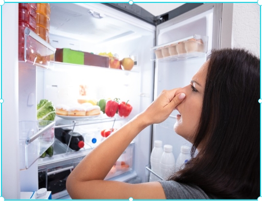 냉장고에 음식쌓아두고 냄새나서 코막는 모습