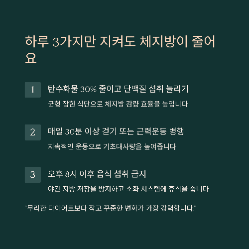체지방 줄이는 가장 현실적인 방법: 실패 없는 습관 루틴 공개