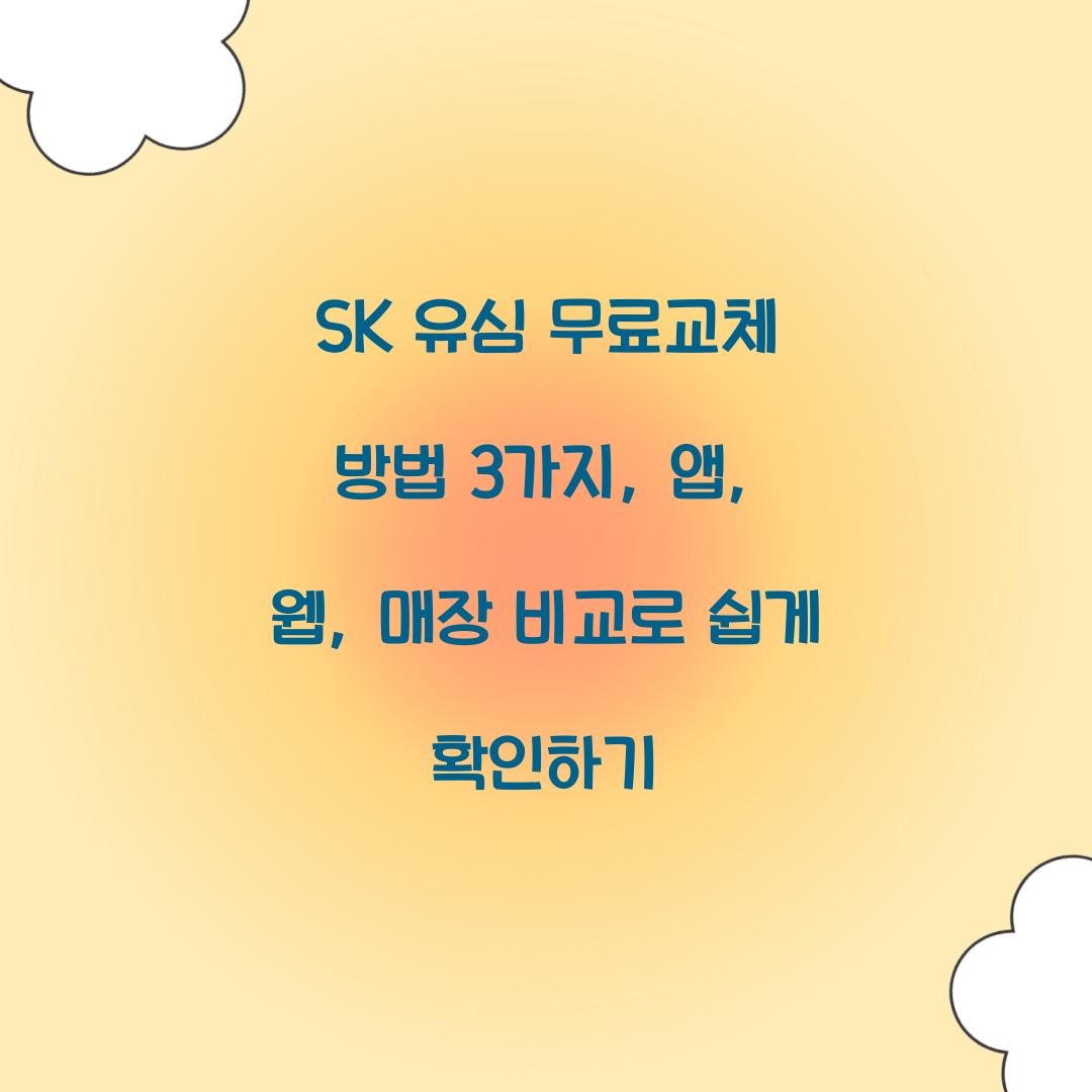 SK 유심 무료교체 방법 3가지: 앱/웹/매장 절차 비교