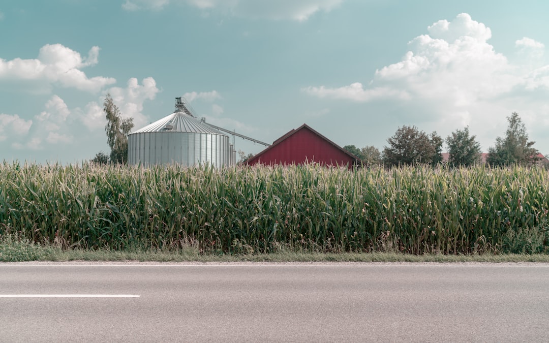 farm