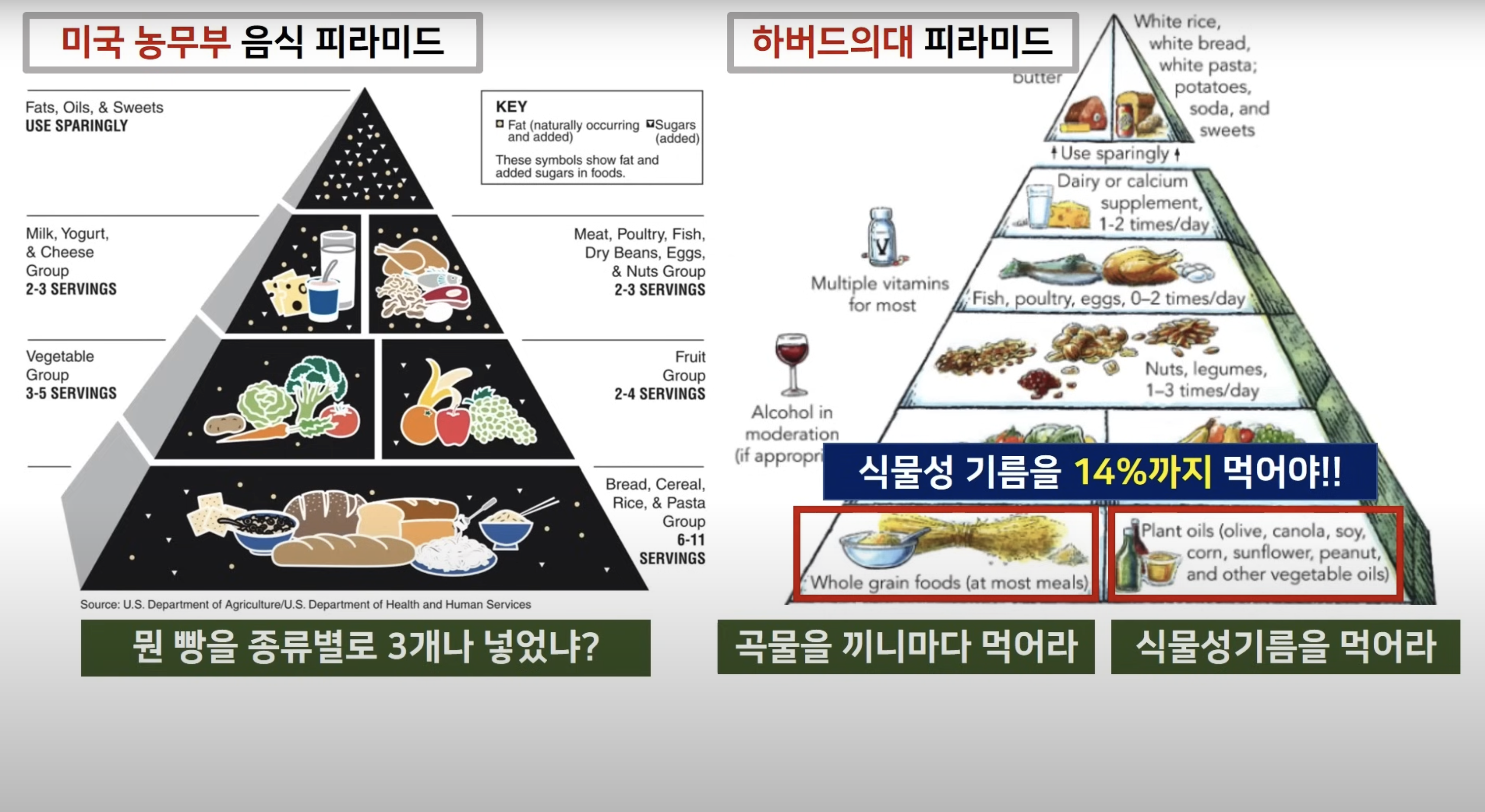 당뇨병 탄수화물 포화지방