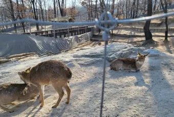 부갑상선기능항진증 수술 후기 2주차 내분비외과 내원 경험담_22