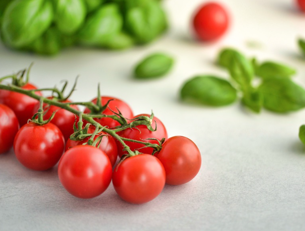 토마토의 부작용