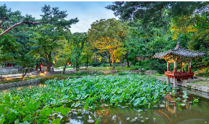 창덕궁 후원 예약