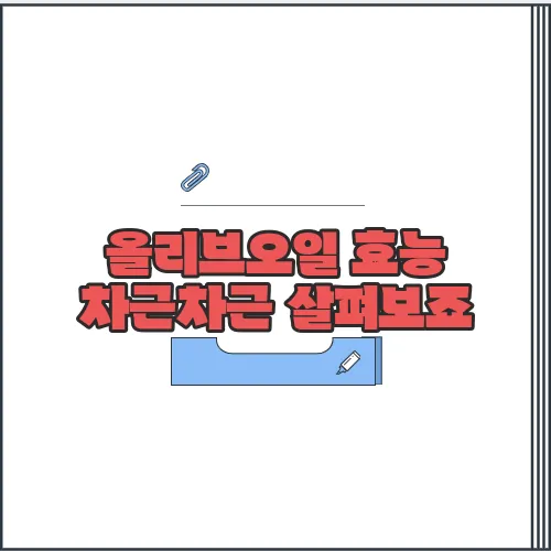 올리브오일 효능 차근차근 살펴보죠