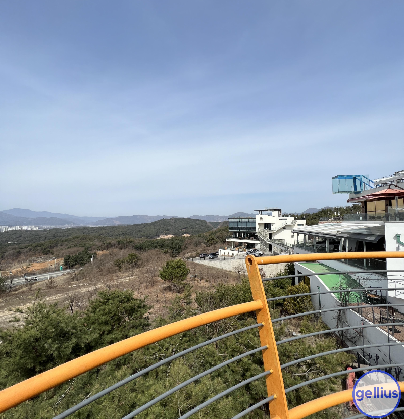 구봉산 투썸플레이스 스카이워크 경치