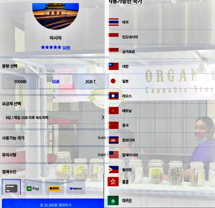 동남아 통합 esim