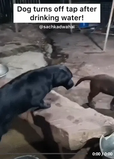 img.webp?credential=yqXZFxpELC7KVnFOS48ylbz2pIh7yKj8&expires=1767193199&allow_ip=&allow_referer=&signature=QPnOeGH6z0WN9VBW%2BQHvT7giZmE%3D