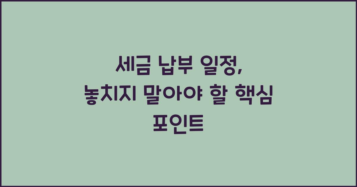 세금 납부 일정