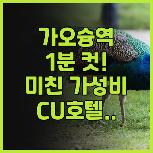 CU 호텔 카오슝 후기 가오슝역 근처..