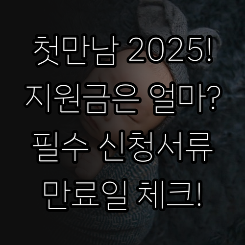 2025년 첫만남이용권 지원 금액 신..