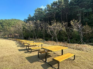  출처-무봉산자연휴양림 개장-숲나들e-숙박 야영장 피크닉장 예약-경기도 자연휴양림 