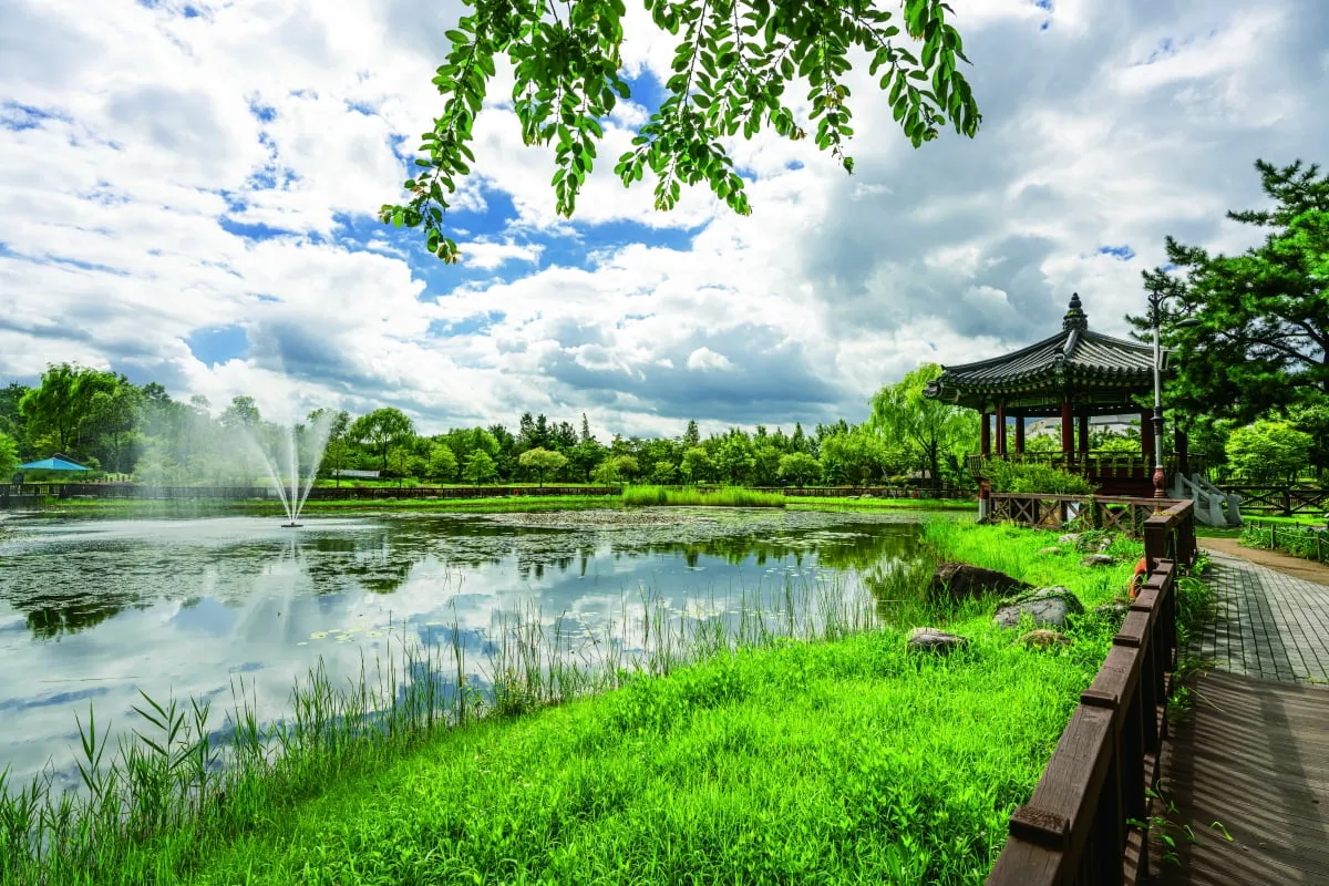 나는 빛나는 별처럼 느꼈습니다 한밭수목원 클레마티스 전시회 관람기_3