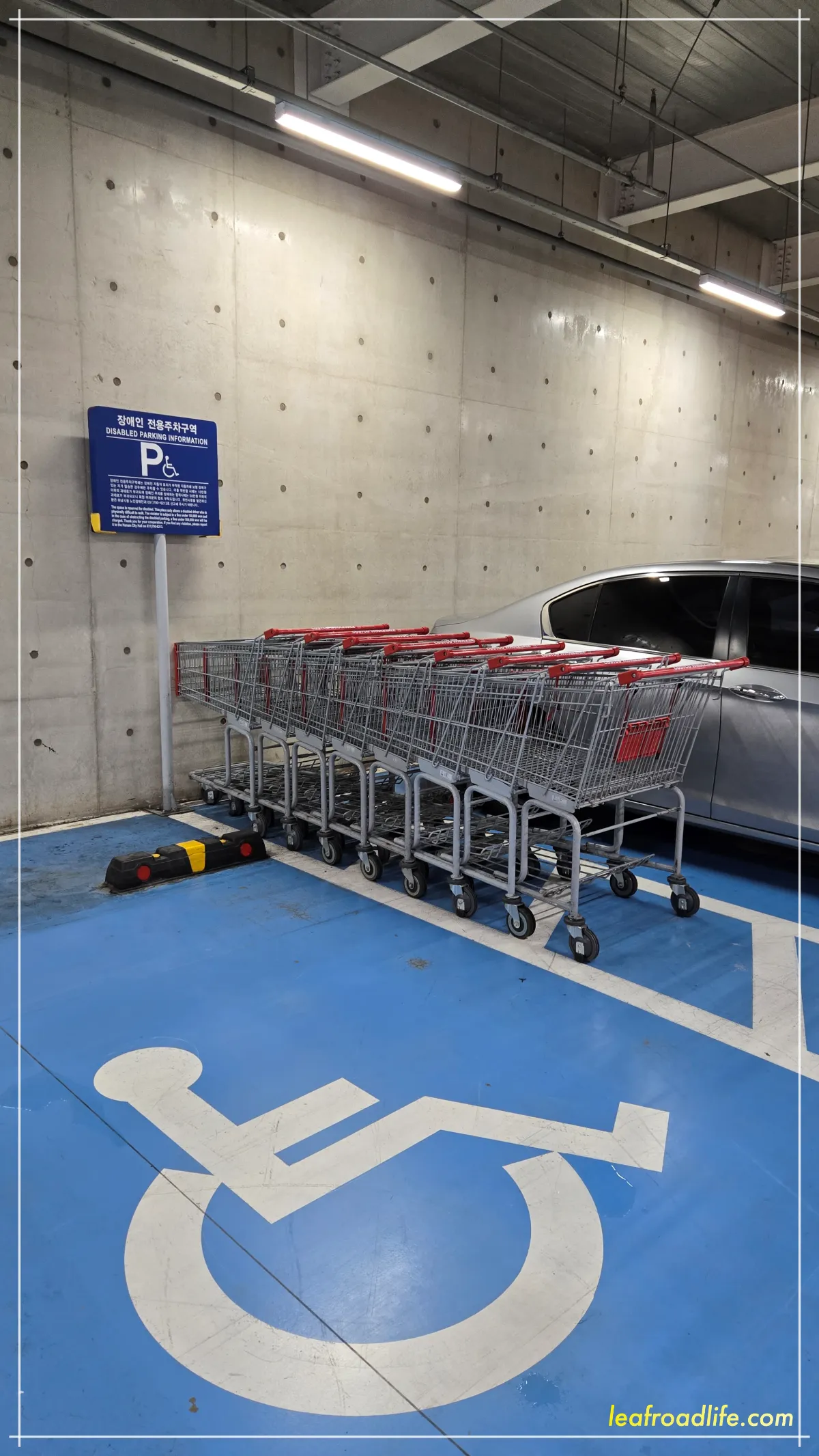 코스트코-주차장-카트관리