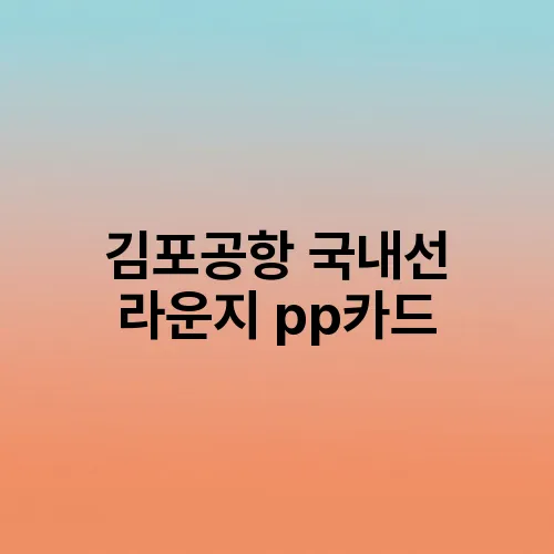 김포공항 국내선 라운지 pp카드