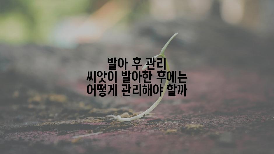 발아 후 관리 씨앗이 발아한 후에는 어떻게 관리해야 할까
