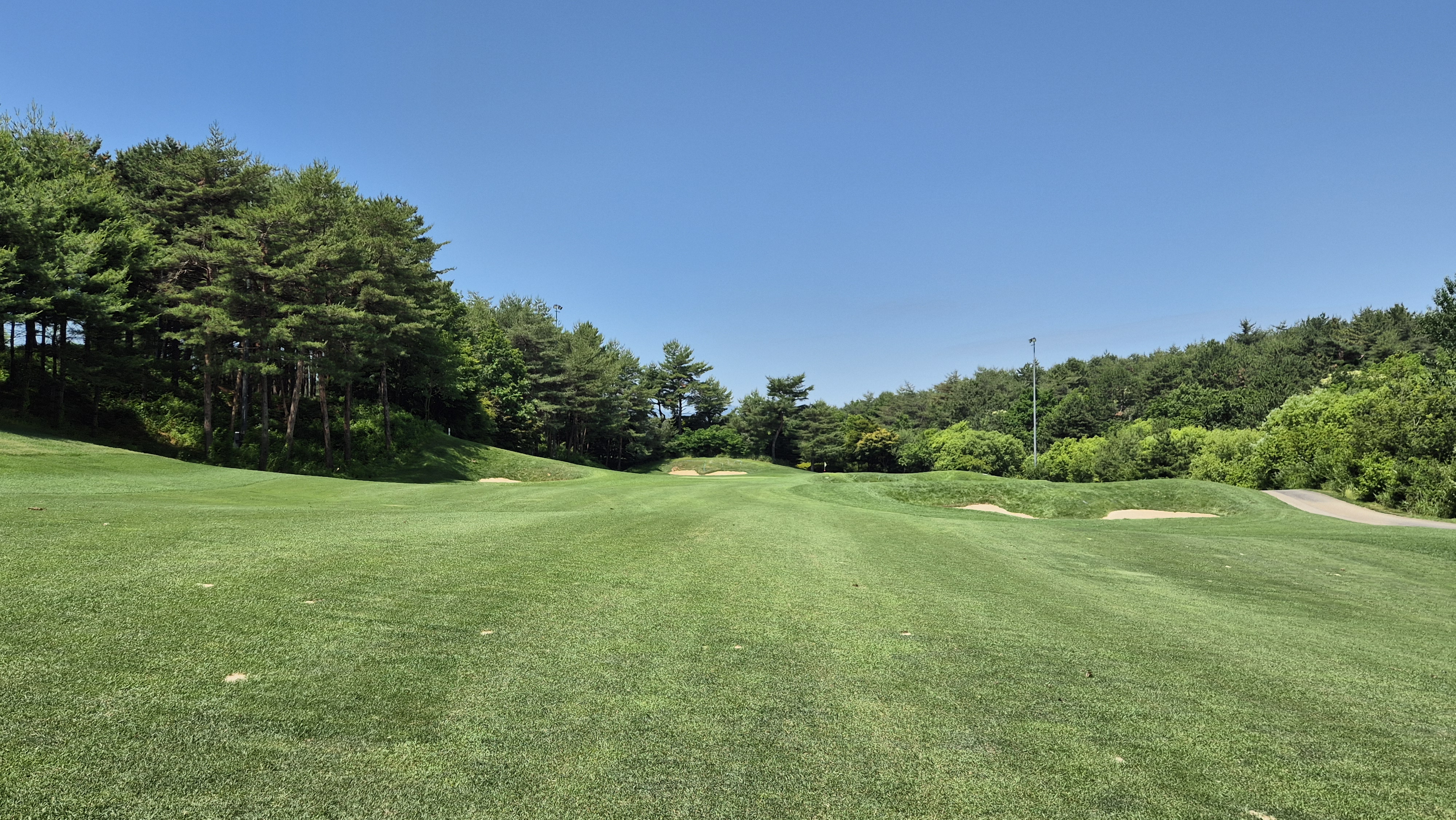 파인리즈cc 후기 및 코스사진