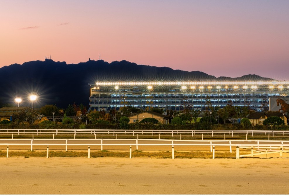 렛츠런 파크 서울 벚꽃 축제