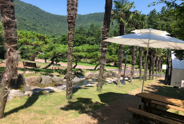 장흥 하늘빛수목원