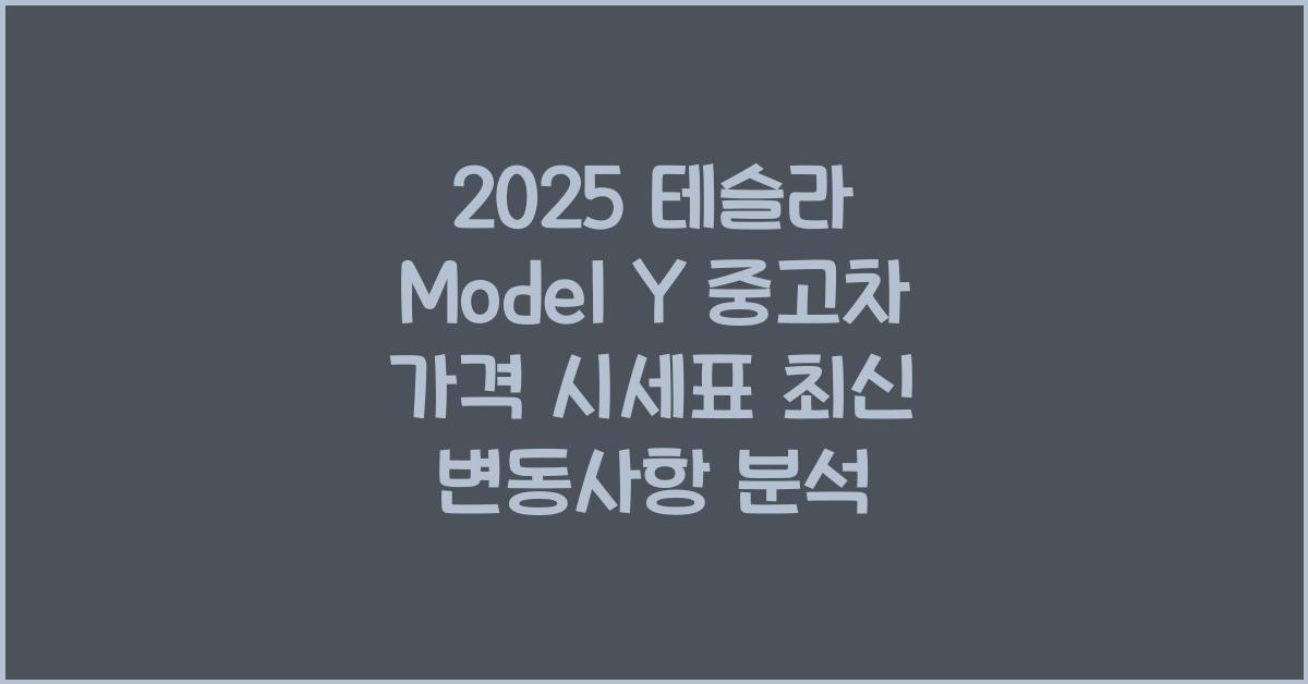 2025 테슬라 Model Y 중고차 가격 시세표