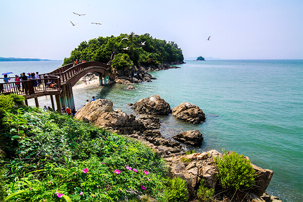 가을 섬^ 교동도&amp;#44; 대부도&amp;#44; 금오도&amp;#44; 조도&amp;#44; 추자도&amp;#44; 5개의 섬 여행