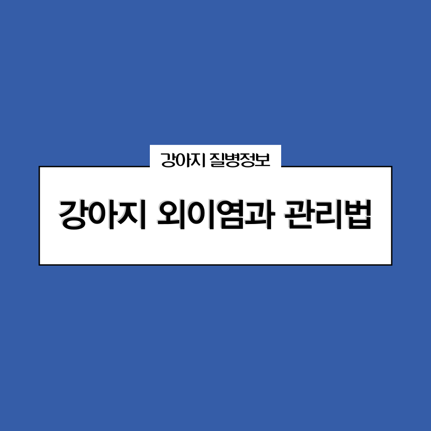 강아지 외이염과 관리법