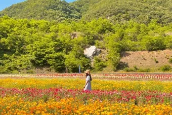 5월 동해 바다낚시 최고 추천 어종과 인기 포인트 완벽 총정리_28